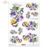 bratek, bratki, kwiat, ogród, łąka, wiosna, autorka grafiki Maria Kopeć, R910, pansy, pansies, flower, garden, meadow, spring, Stiefmütterchen, Blume, Garten, Wiese, Frühling, pensamiento, flor, jardín, prado, primavera